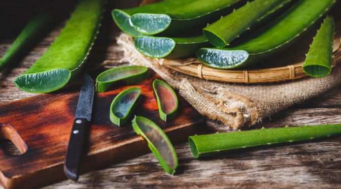 Five lesser-known beauty uses of aloe vera